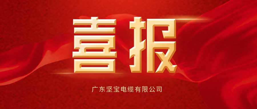 喜报▏热烈祝贺广东小蝌蚪免费视频电缆有限公司获得燃烧等级证书