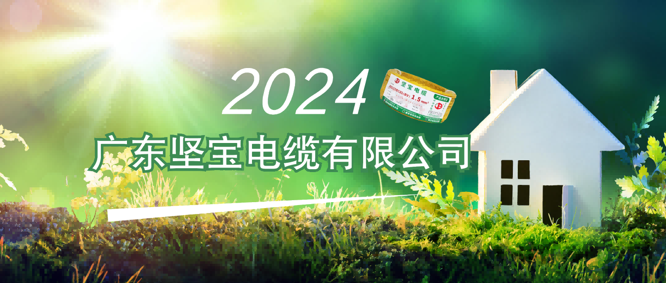 2024年线缆行业有哪些机会？这两场会议释放重要信号